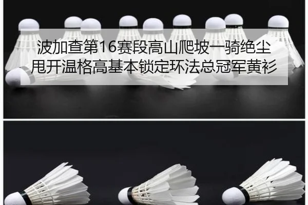 波加查第16赛段高山爬坡一骑绝尘 甩开温格高基本锁定环法总冠军黄衫